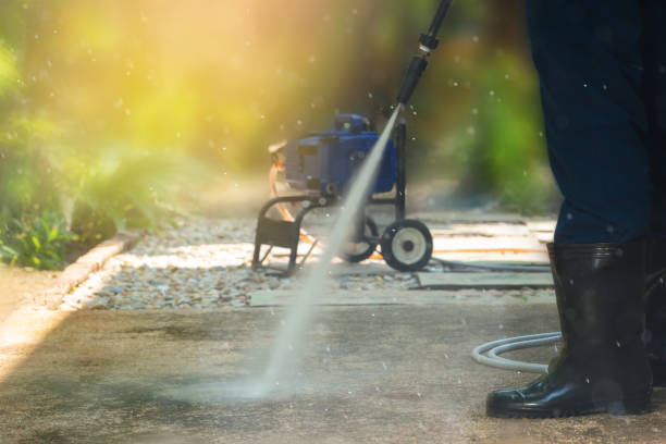 Animal Enclosure Cleaning in Patchogue, NY